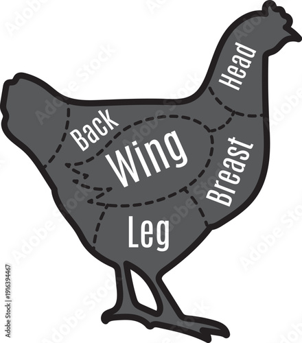 Chicken butchery guide. Poultry diagram. Farm bird cut