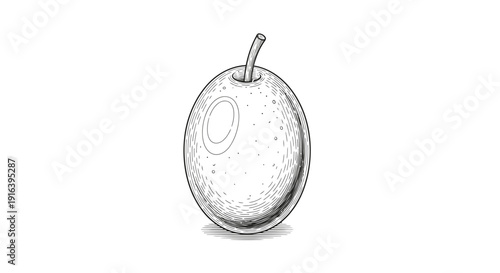 Hand-drawn illustration of a single olive with stem on white background, sketch style