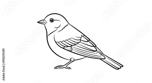 A simple vector illustration of a small bird in profile, isolated on transparent background