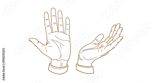 Vector illustration of human hands with palm lines