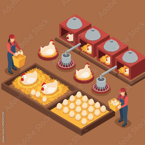 Chicken Farm Workers Collecting Eggs.