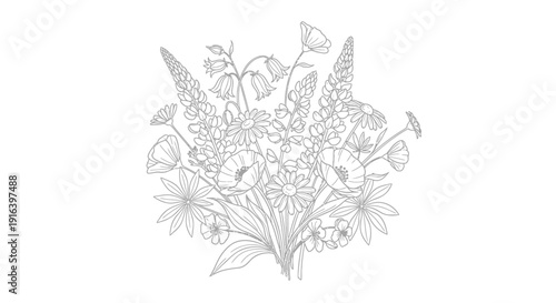Vector illustration of a bouquet of wildflowers and herbs in a delicate line drawing style isolated on transparent background