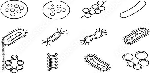 Illustrations of various bacterial cell shapes and structures