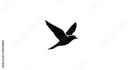 Black silhouette of a bird in flight isolated on white background