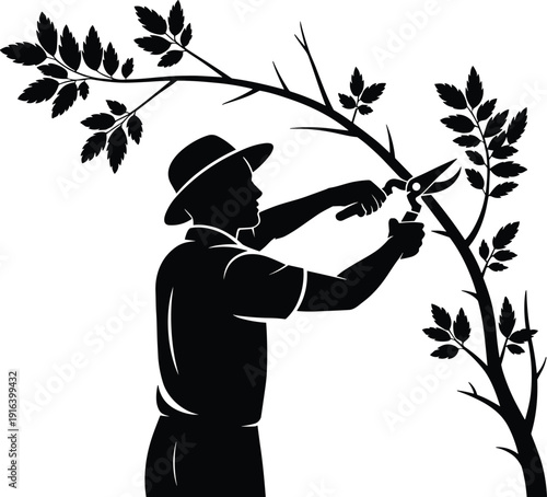 Gardener pruning tree branches silhouette, professional tree trimming work, horticulture and landscaping maintenance concept, eco friendly gardening activity, black and white vector illustration