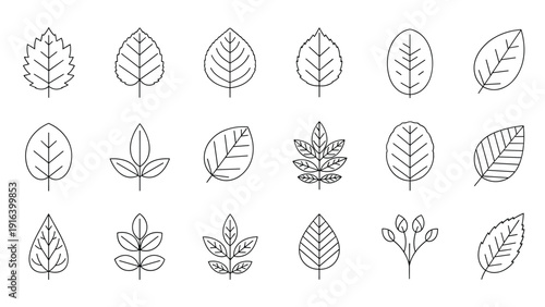 Large set of various leaf line icons representing different plant species and foliage types in a simple black and white design.