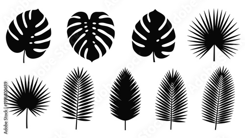 Collection of black silhouettes representing various tropical plant leaves like monstera and different palms.