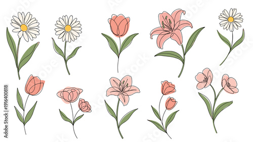 Beautiful collection of various hand drawn flower species with delicate line art and soft pastel color fills.