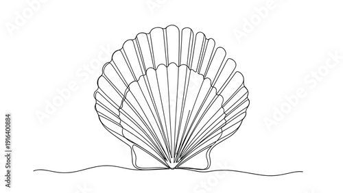 Single elegant scallop seashell depicted in a complex continuous line drawing style with minimalist detail.