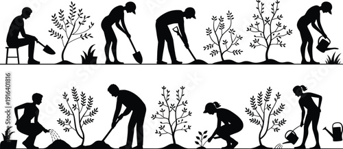 People digging, planting, watering, and caring for trees in garden sequence, gardening silhouette figures, plant growth and nature care concept, black vector illustration