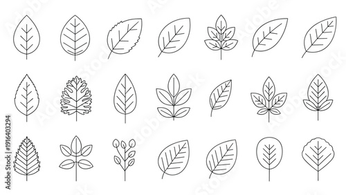 Collection of various leaf outline icons with different shapes and vein structures for nature and environmental design projects.