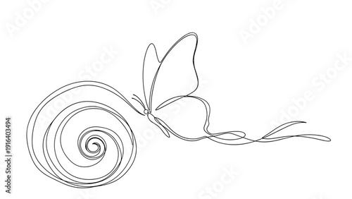Minimalist one line drawing combining a delicate butterfly and a spiral shell representing beauty and transformation in nature.