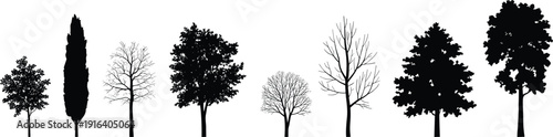 Tree silhouettes collection isolated on white background, different tree shapes and seasons, nature forest elements for landscape design illustration