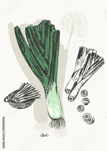 Hand drawn ink leek vegetable sketches set. Food drawings for labels and packaging. Vegetarian menu