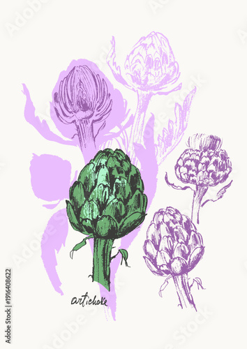 Hand drawn ink artichoke vegetable sketches set. Food drawings for labels and packaging. Vegetarian menu.