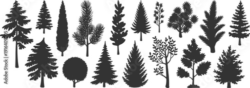 Set of detailed tree silhouettes, diverse evergreen and deciduous forest trees isolated on white background, botanical vector illustration collection