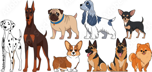 Dog Breed Illustration Set with Realistic Domestic Pet Characters for Veterinary, Animal Care, Adoption, Pet Shop and Educational Design Projects