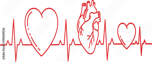 Heartbeat Line with Heart and Anatomical Heart Illustration for Cardiology, Medical Health Monitoring, ECG Pulse and Healthcare Concept Design