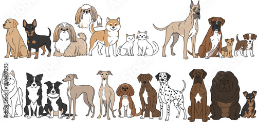 Large Collection of Realistic Dog Breeds Vector Illustrations Featuring Beagle, Corgi, Dachshund, German Shepherd, Husky, and Poodle for Veterinary Clinics and Pet Care