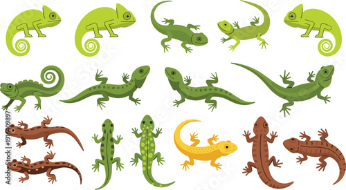 Colorful lizard and chameleon collection set isolated reptile animals vector illustration