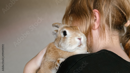 Cute Easter Bunny on hands of a girl. Pet therapy. The rabbits nose. Hugging an animal. A state of happiness and pleasure. Affection and hugs. Concept of Love. Heart against heart. Copy space.