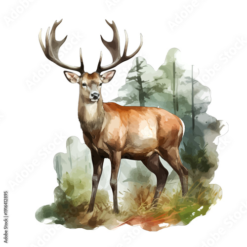 Watercolor Red Deer Stag with Large Antlers at Forest Edge Isolated on White