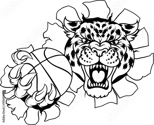 A jaguar, panther, leopard ...