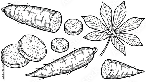 Hand-drawn illustration of cassava root and leaves. Whole and sliced tubers are shown, with a detailed leaf, highlighting texture and shape.