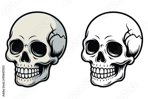 Skull Illustration and outline set isolated on transparent background