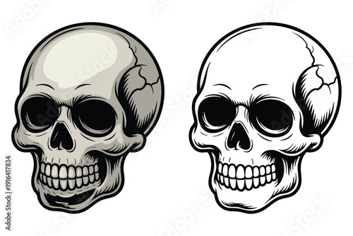Skull Illustration and outline set isolated on transparent background