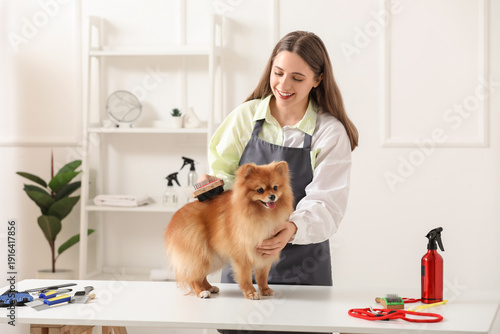 Female groomer brushing cut...