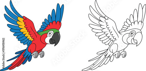 Colorful cartoon parrot illustration, cute tropical macaw bird character flying with wings spread, isolated vector clipart on white background