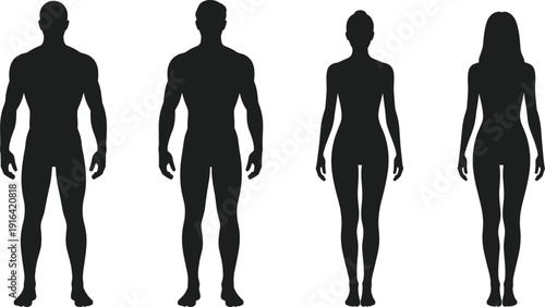 Male and female body silhouette comparison showing anatomy fitness proportions gender differences human figure isolated on white background illustration