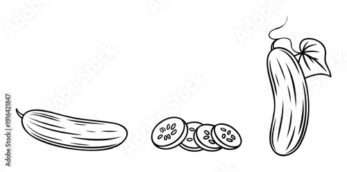 Natural cucumber vegetable product display featuring whole and sliced forms, perfect for healthy eating promotions, recipe books, grocery branding, or food packaging labels.