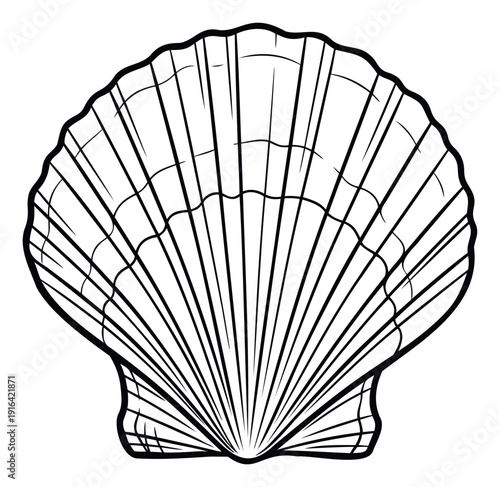 Classic black and white line drawing of a scallop seashell perfect for marine themed projects decorative prints educational materials or graphic design compositions