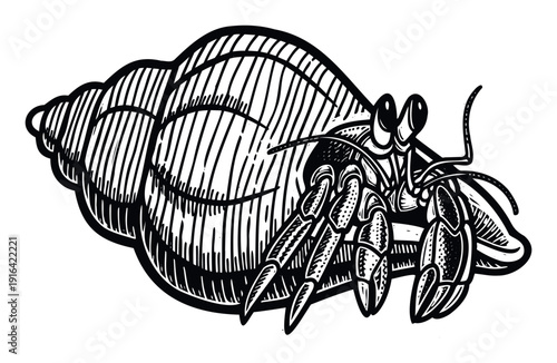 A black and white woodcut style rendering of a hermit crab emerging from its seashell depicts an intriguing marine animal, ideal for naturethemed publications, educational materials, or