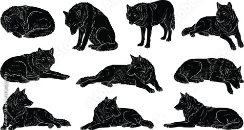 Black Cat Silhouettes in Various Poses.