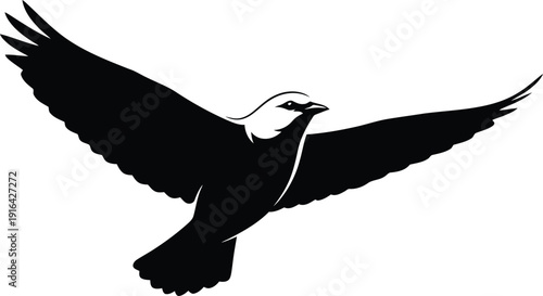 A basic, clean silhouette of a bird – perhaps a robin or sparrow – focusing on the outline of its wings and body