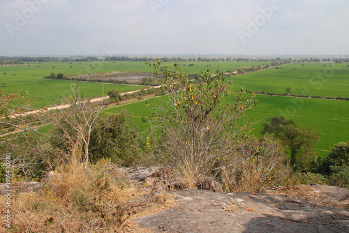 Fotografie rice fields in the takeo province in cambodia