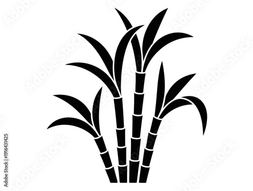 Black and white minimalist vector illustration of sugarcane plants, representing tropical agriculture, organic farming, and nature