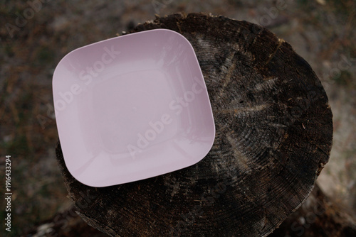 A pink plate rests on a cut tree stump in a natural outdoor space during a gathering