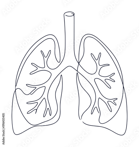 Human lungs continuous one line drawing. Minimalist vector outline illustration of respiratory organ anatomy.