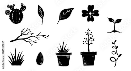 Collection of 11 black silhouette plant and botanical illustrations, including cacti, leaves, and potted plants