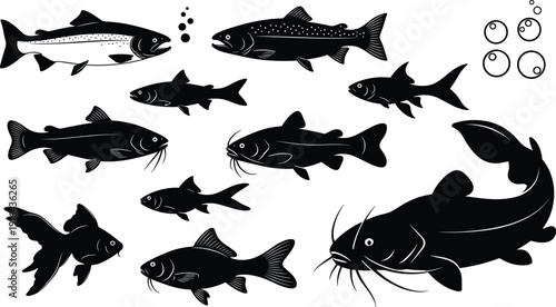Freshwater fish silhouette set showing catfish and river fish species in different swimming poses, aquatic wildlife illustration isolated on white background, fishing, nature concept