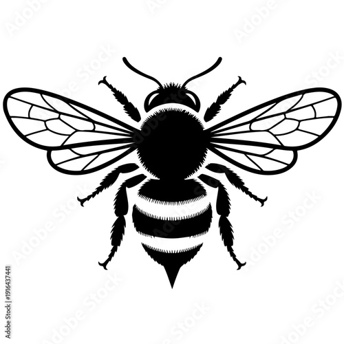 A black and white image of a bee