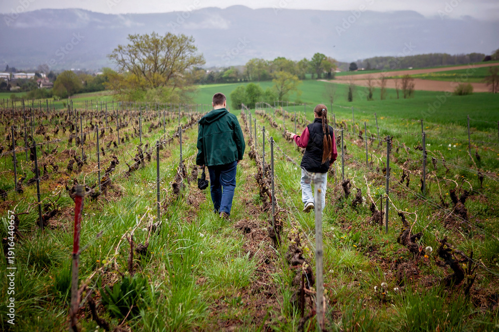 Obraz premium Scenic vineyard landscape with a father and daughter walking between grape rows. Peaceful rural escape focused on connection, quiet support, and mindful offline living.
