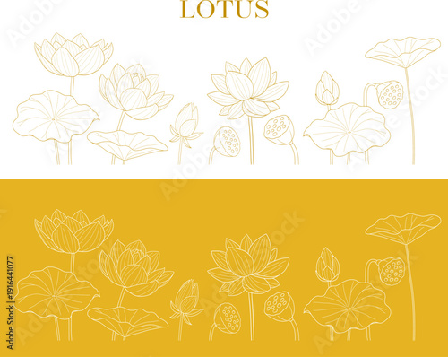 ハスの花の線画ベクターイラスト