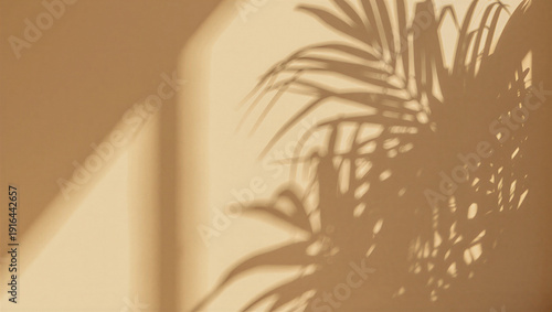 Schilderij op canvas Tropical palm leaf shadow casting on a beige wall