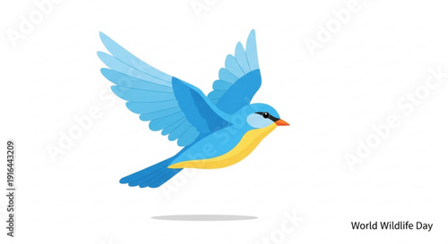 Blue bird in flight with yellow belly and orange beak on white background for world wildlife day