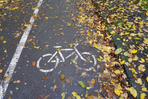 Wallpaper Mural A painted bicycle sign on the asphalt in a grove. Torontodigital.ca